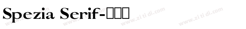 Spezia Serif字体转换